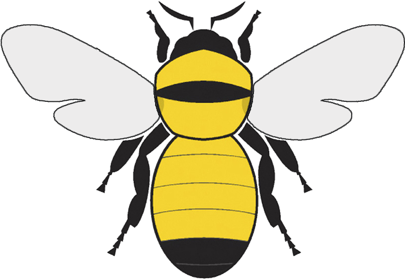 Hive - Softext - Bee Illustration Clipart (815x694)