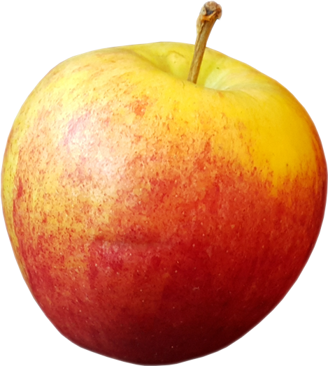 Red Apple Fruits Png Transparent Images Clipart Icons - Apple (600x600)