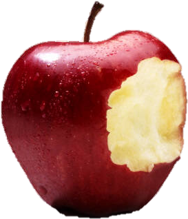 Bitten Apple Bitten Apple Bitten Red Apple Clipart - Lisa Davis It's Your Health (600x473)