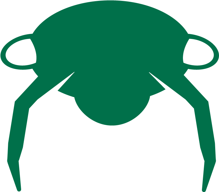 Don't Lose Sleep Over Bed Bugs - Illustration (1042x1042)