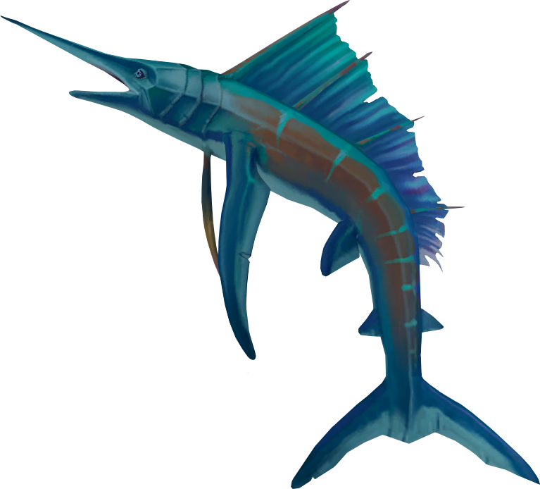 Raw Sailfish Detail - Sailfish Runescape (767x694)