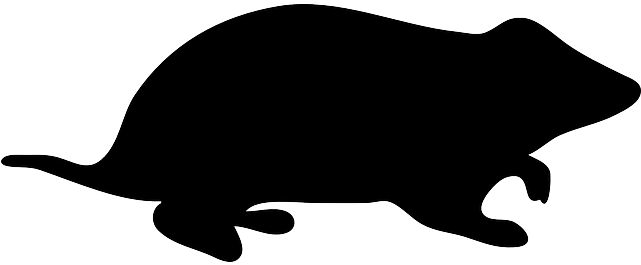 Small, Silhouette, Hamster, Cute, Pet - Hamster Silhouette Clipart (640x320)