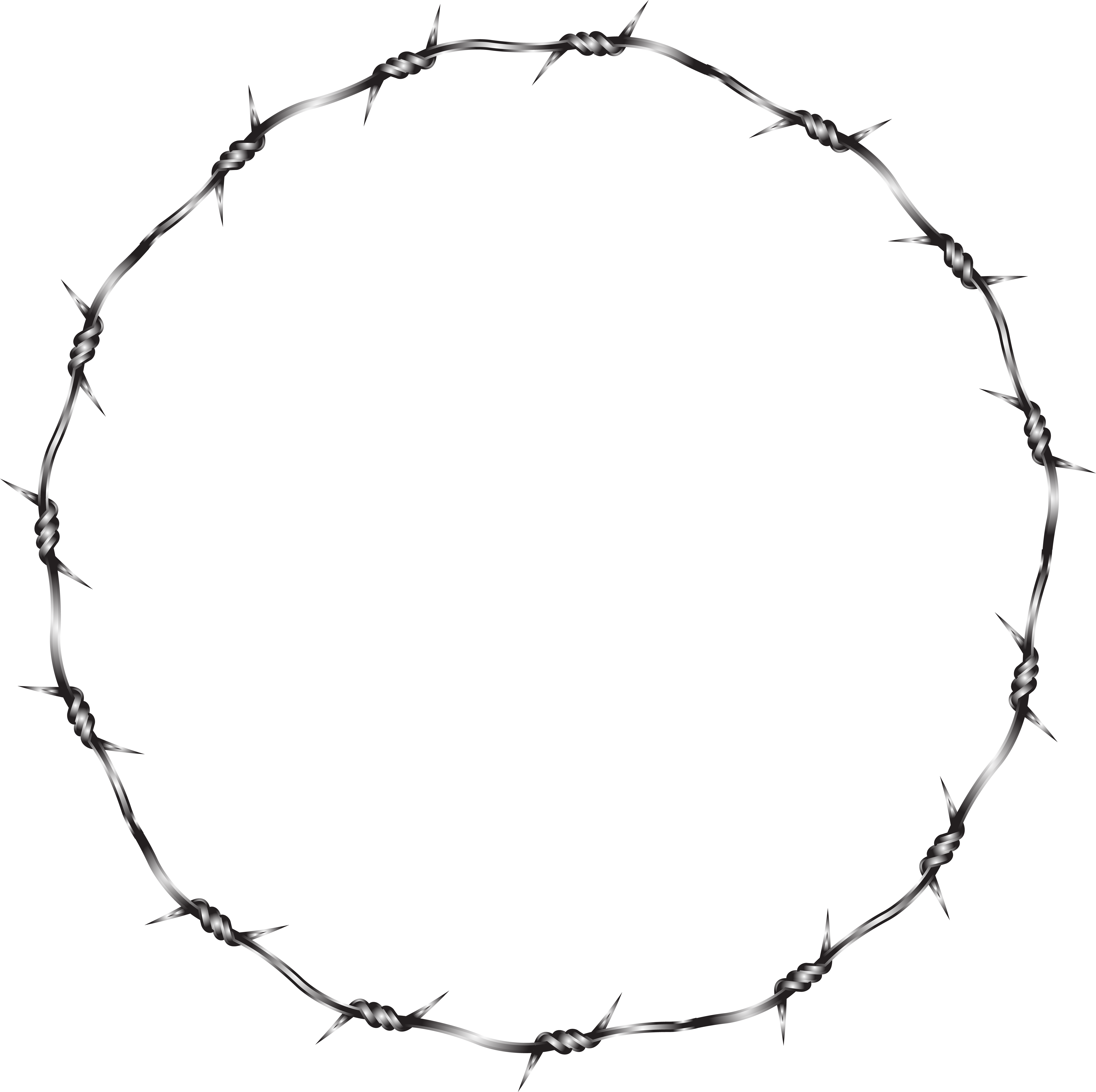 Wire Clipart Circle - Wire Clipart Circle (8000x7970)