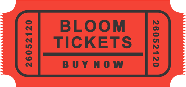 Png Movie Ticket Transparent Movie Ticket - Colorfulness (615x288)