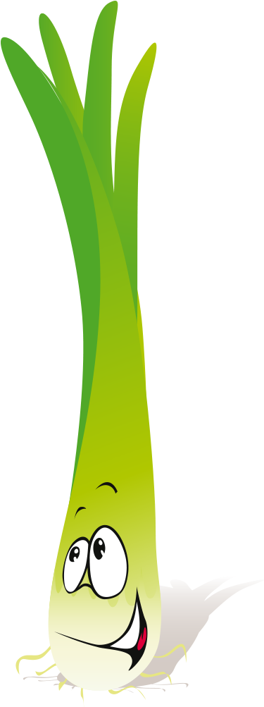 Garden Radish Cartoon Vegetable Illustration - Animada Imagenes De Cebolla Larga (800x1002)