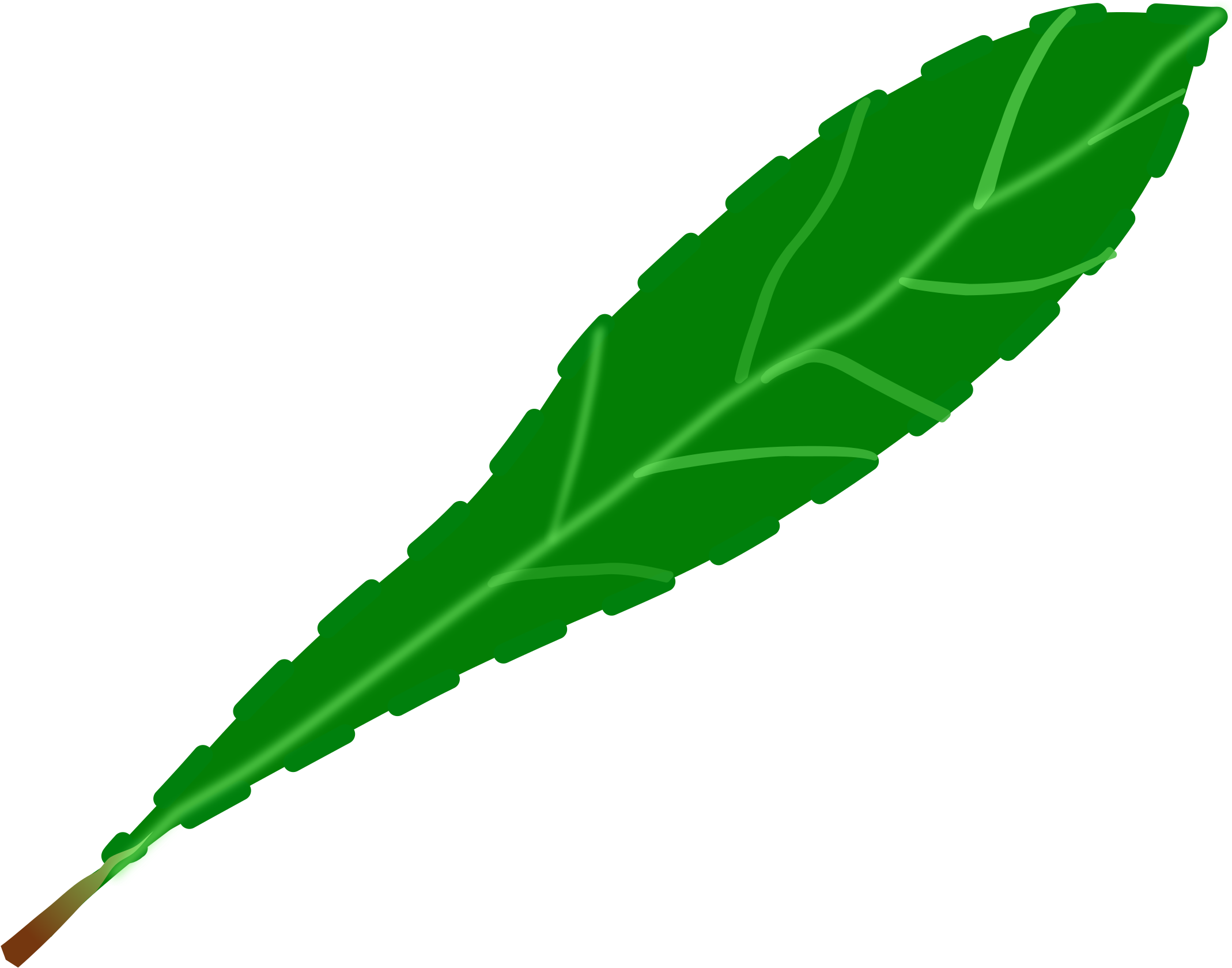 Green Leaf 2 - Single Green Leaf Clip Art (2400x2400)