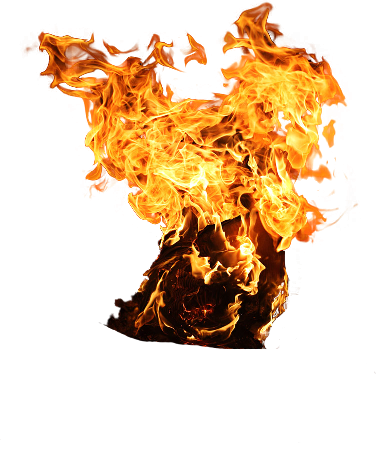 Fire Png By Camelfobia Fire Png By Camelfobia - Tree On Fire Png (768x1152)