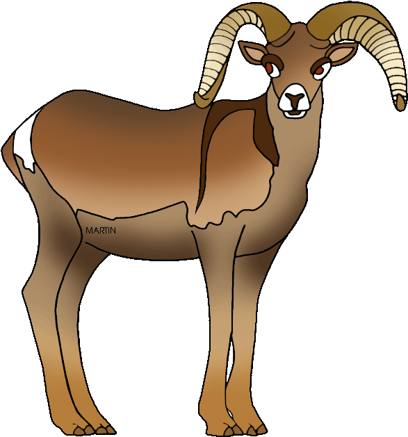 Lamb Clipart Phillip Martin - Nevada State Animal Bighorn Sheep (620x648)