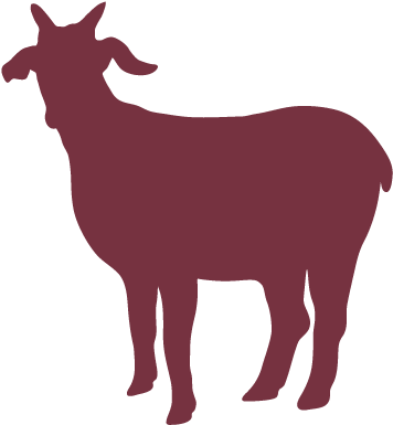 Goat - Heart Goats Shot Glass (512x512)