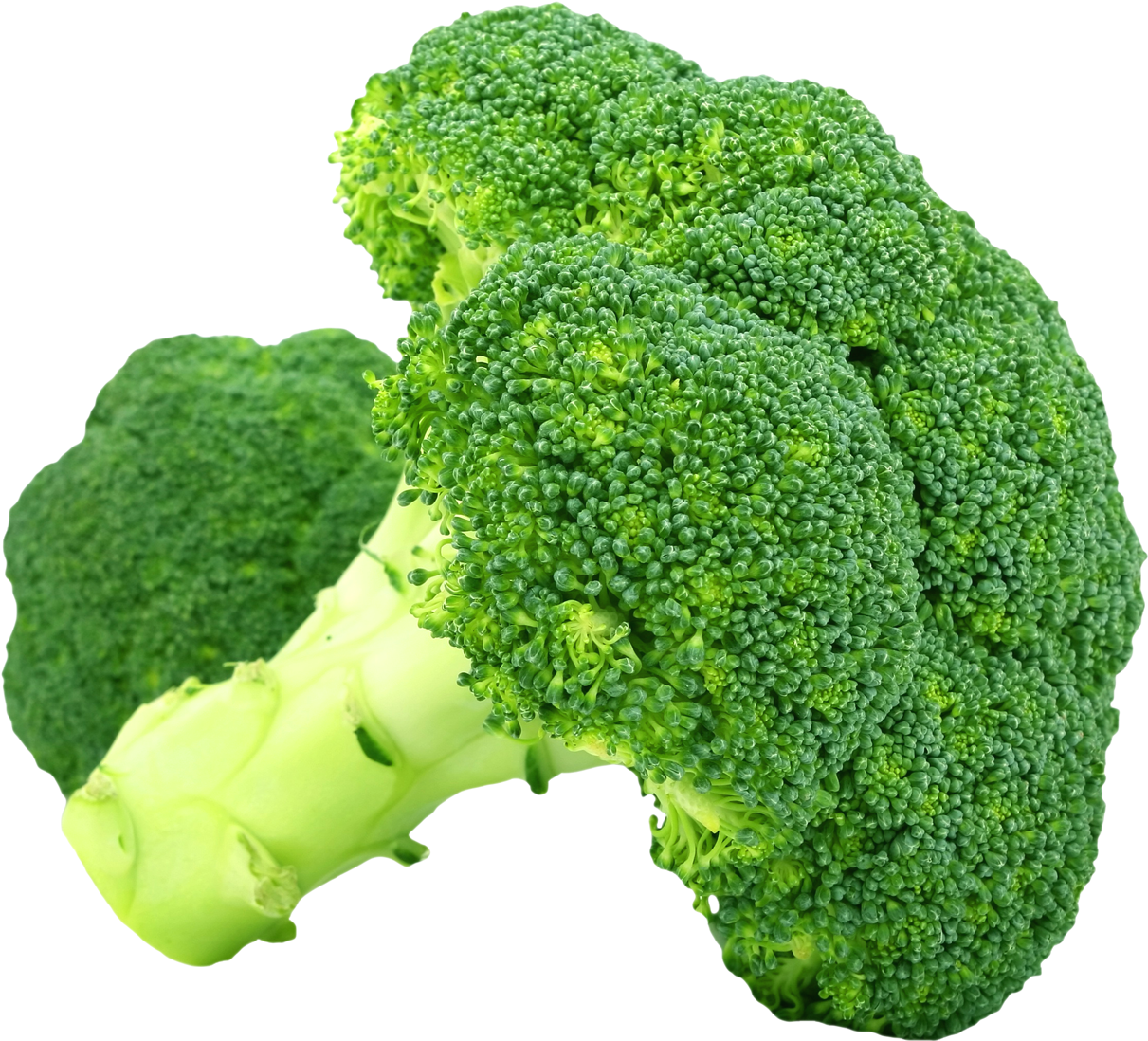 Broccoli Png Transparent Png Images - Broccoli Png (1280x1159)