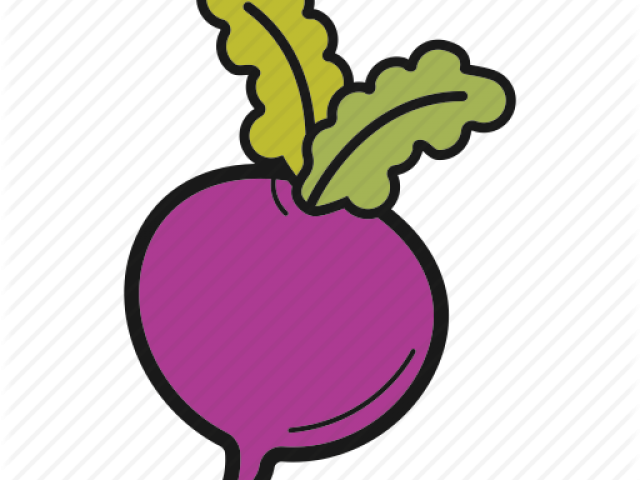 Radish Clipart Turnip - Turnip Icon (640x480)