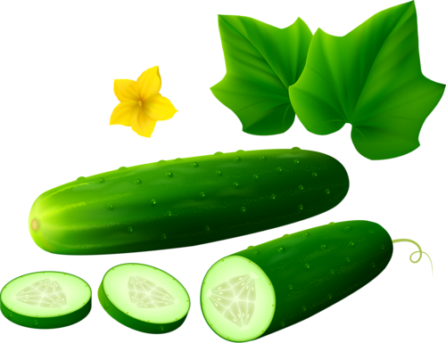 Cucumber Clipart Transparent Background - Cucumbers Clipart Png (500x385)
