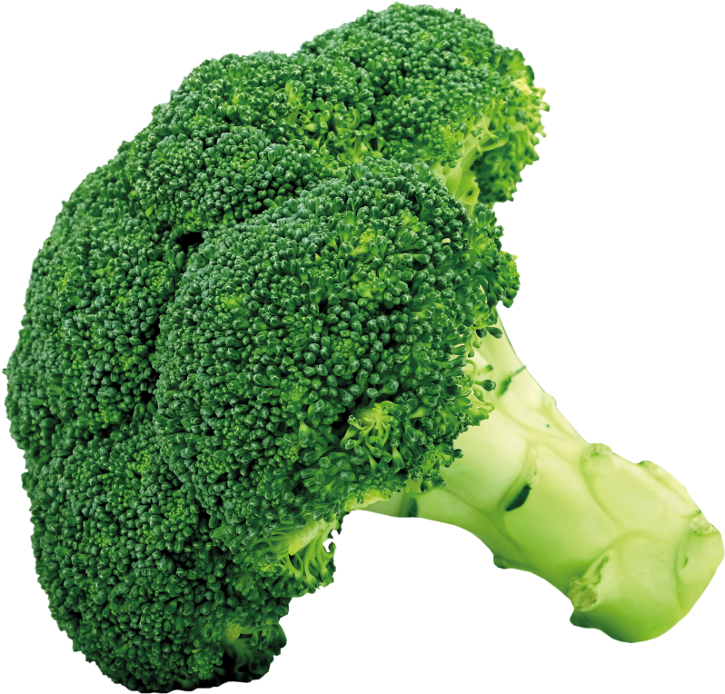 Broccoli Png Picture - Broccoli Png (816x784)