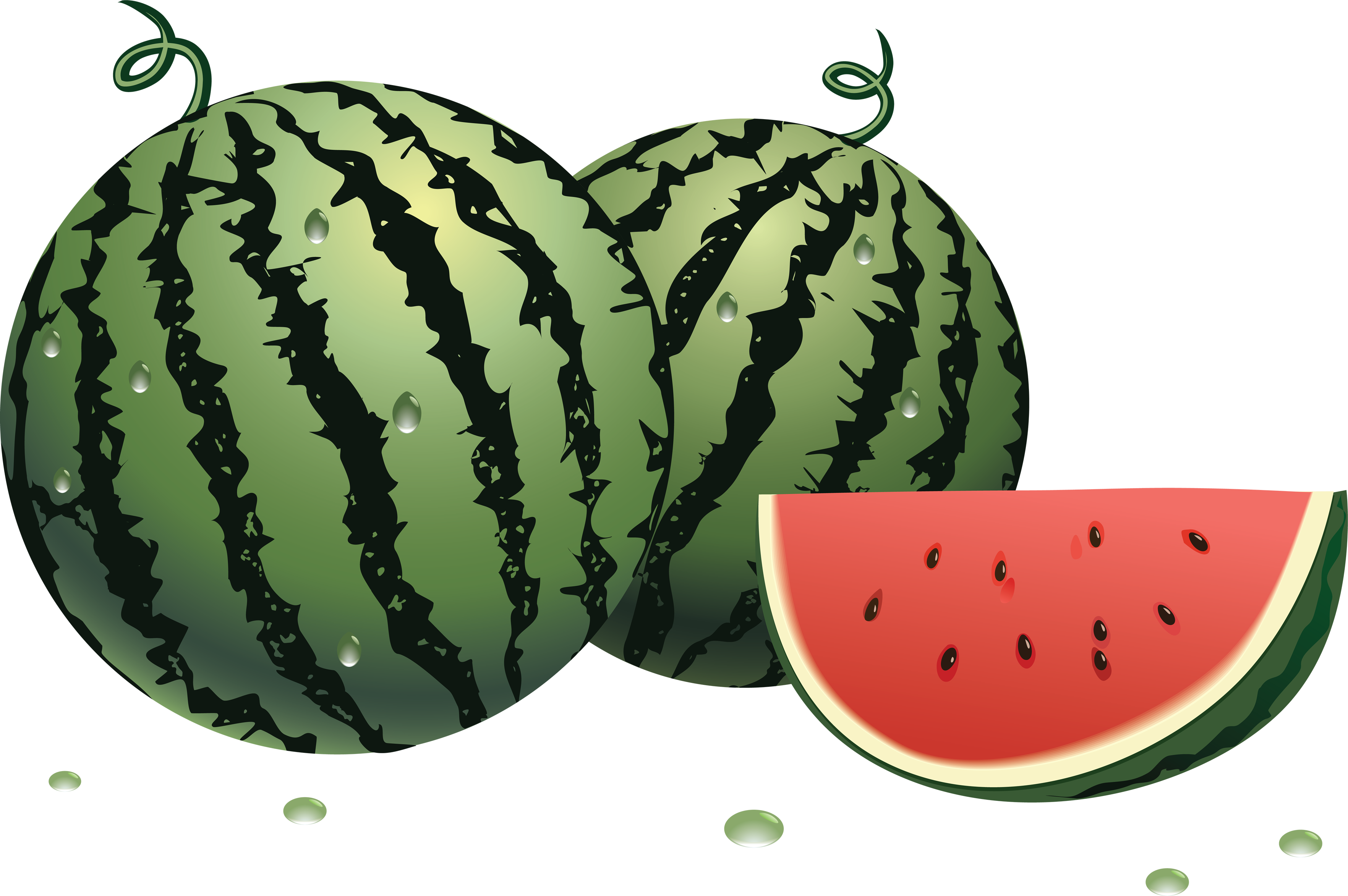 Watermelon Patch Clip Art (3528x2346)