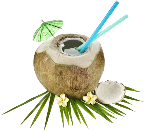 The Coconut Processing Therefore Traditionally Remained - Noix De Coco A Boire (611x476)