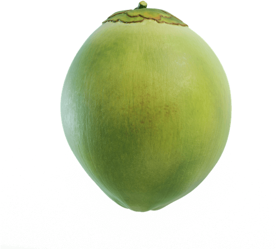 Never Exposed To Light Or Air - Green Coconut Fruit Png (542x542)