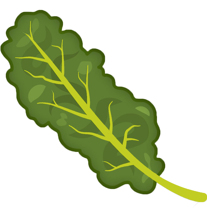 Kale Clipart Transparent - Kale Clipart Png (1200x900)