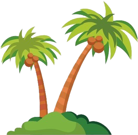 Cartoon Coconut - Coconut Tree - Cartoon Palm Tree Png (500x500)
