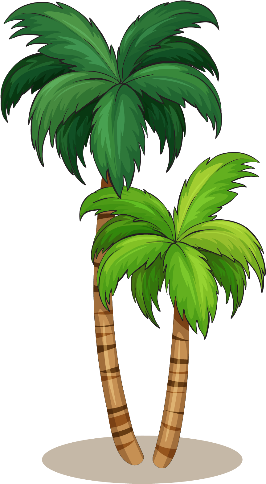 Arecaceae Royalty-free Illustration - Coconut Tree Vector (1173x1839)