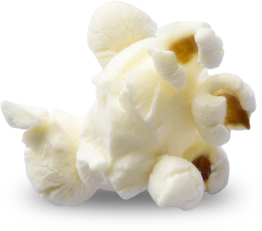 Popcorn Png Photos - Great Northern Popcorn 28 Oz. All Natural Organic Gourmet (1000x1000)