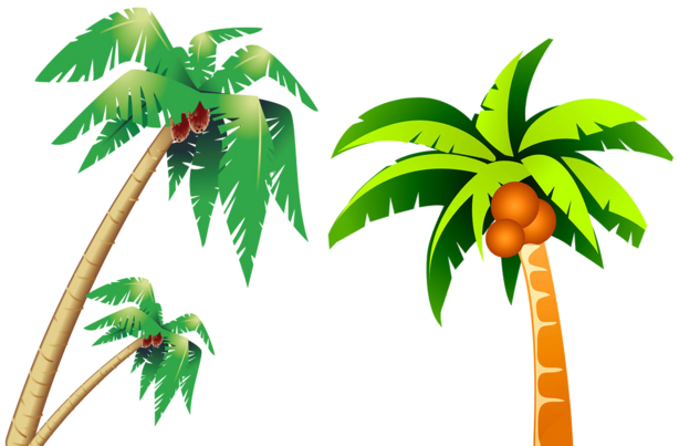 Cartoon Version Of Coconut Tree - Modern Green Tree 26 Shower Curtain (658x422)