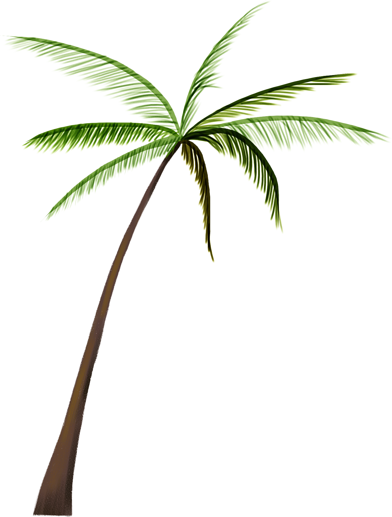 Arecaceae Nata De Coco Coconut Tree - Blancho Bedding Snow World - Large Wall Decals Stickers (1341x1771)