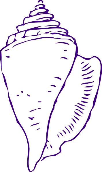 Clip Art Seashells - Seashell Clipart Black And White (354x598)