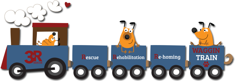 Waggin' Trains Are Life Saving Efforts That Start With - Waste Hierarchy (828x281)