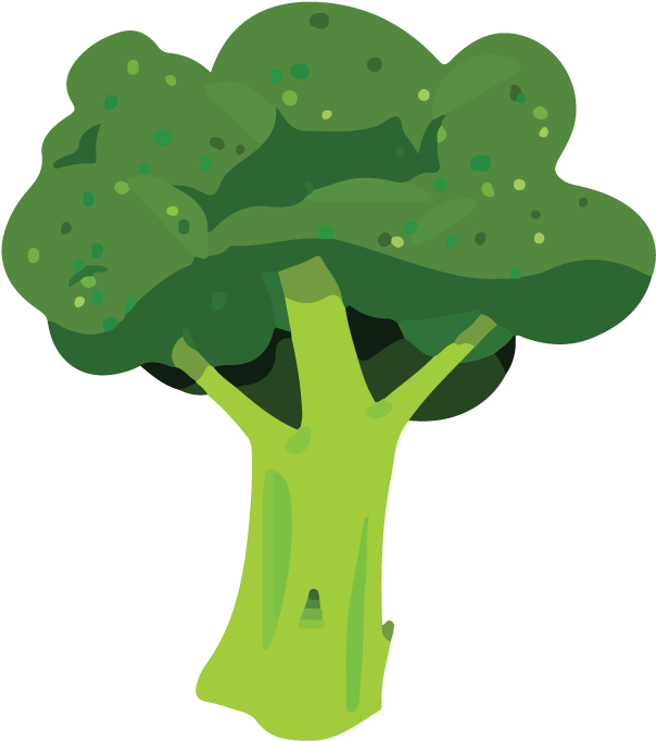 Broccoli, Cost-effective Health Foods - Broccoli Vector Png (800x800)