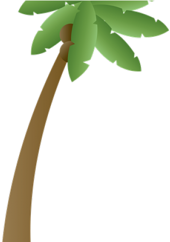 Palm Tree Clipart Plm - Palm Tree (640x480)