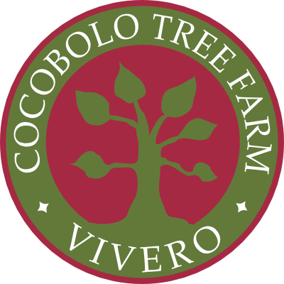 Cocobolo Tree Farm - Travel (400x400)