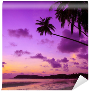 Tropical Beach With Palm Trees At Sunset, Thailand - Pink Sand Beautiful Beaches (400x400)