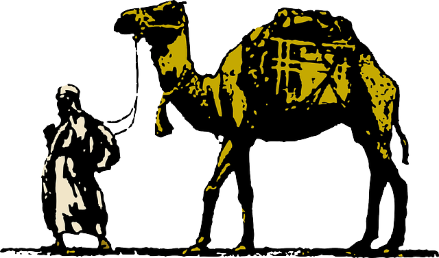 Cameleer, Wog, Camel Driver, Dromedary, Animal - Camel Clip Art (640x376)