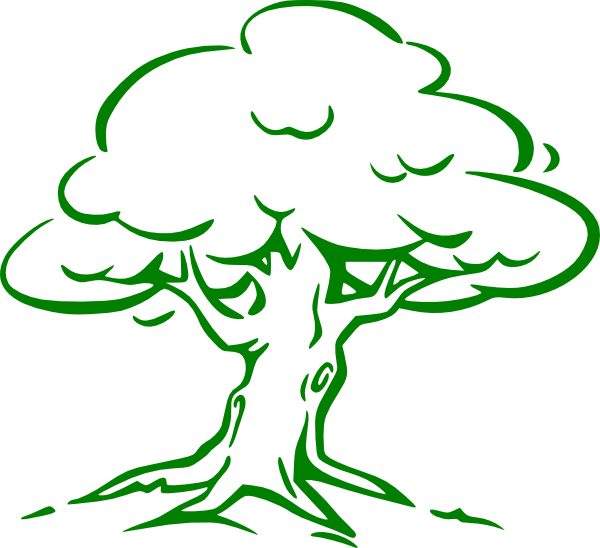 Cartoon Tree Imges Green Oak Tree Clip Art - Oak Tree Drawing Easy (600x548)