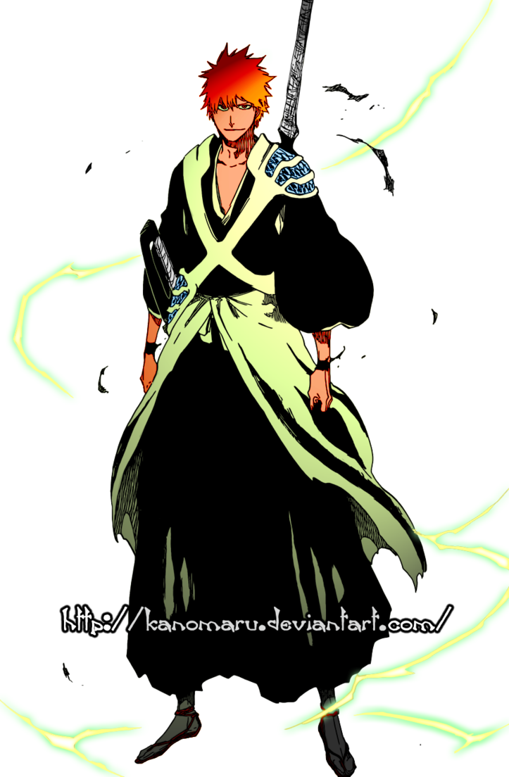 Ichigo's New Appearance By Kanomaru - Bleach The Blade And Are One (723x1104)