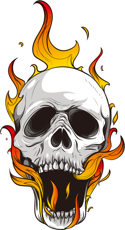 Flame Skull Computer File - Flames Png (474x873)