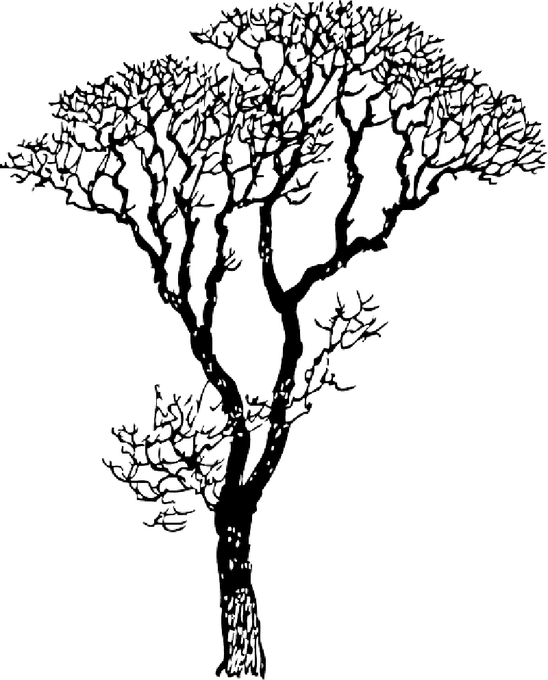 Dead, Black, Africa, Outline, Drawing, Sketch - Mothers Day Quotes From Daughter Thank You (800x994)