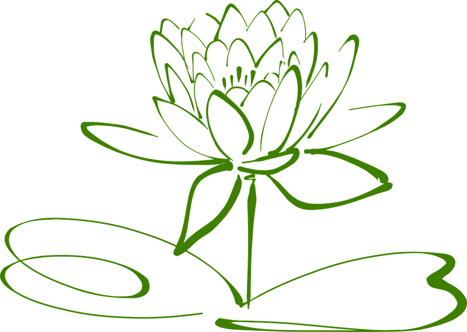 Water Lily Png 16, Buy Clip Art - Drawing Black And White Flower Clip Art (960x682)