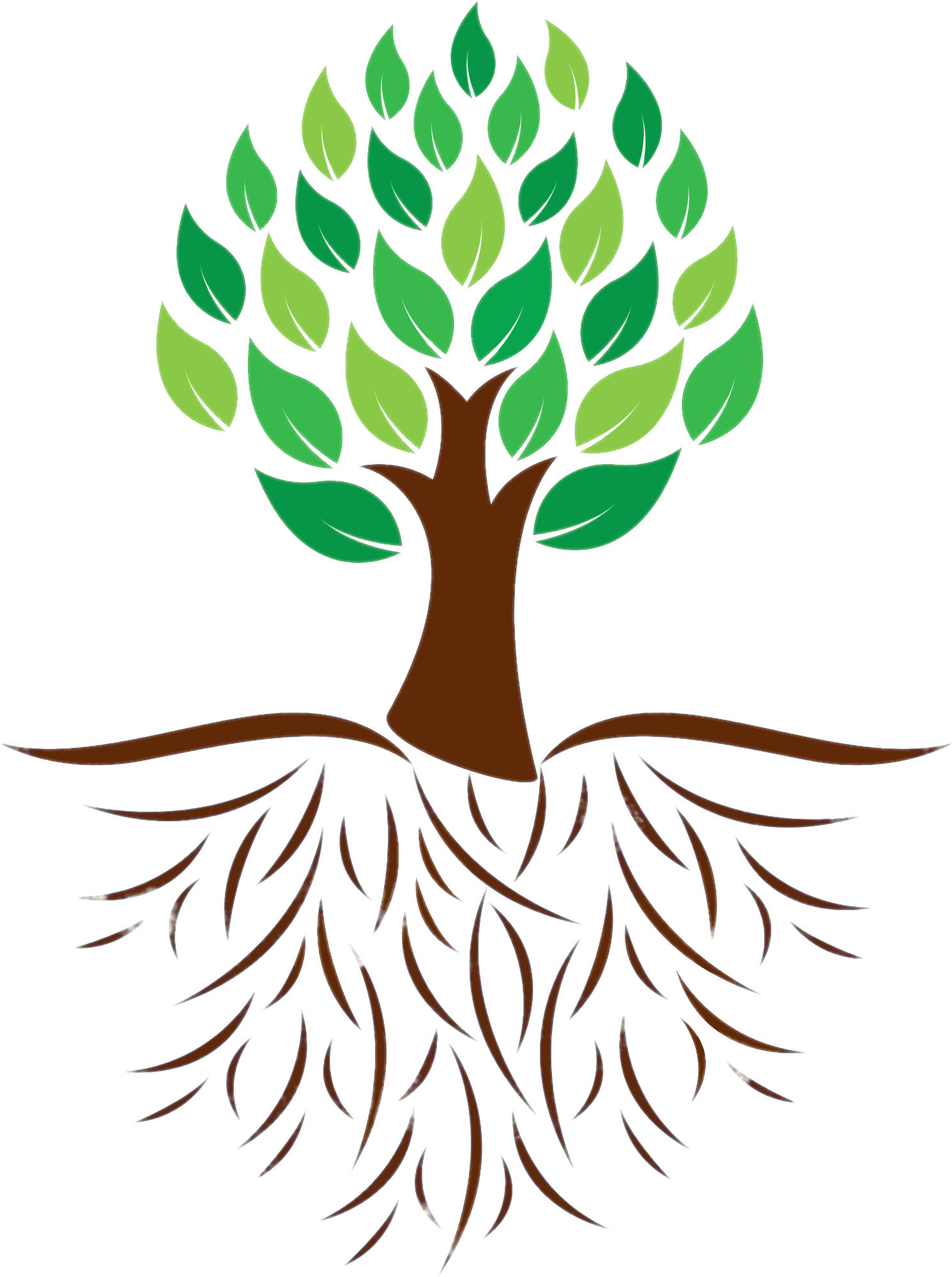 Tree And Roots Colour Illustration Transparent Png - Tree With Roots Clipart (1501x1998)