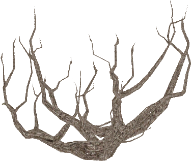 Dead Bush - Driftwood (480x480)