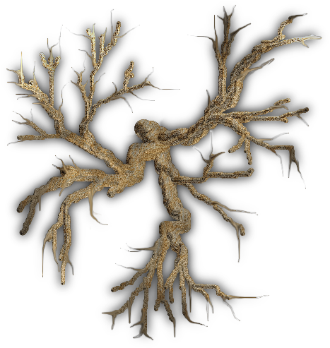 20 267k Tree Bare Large 2 06 Feb 2009 - Pond Pine (600x600)