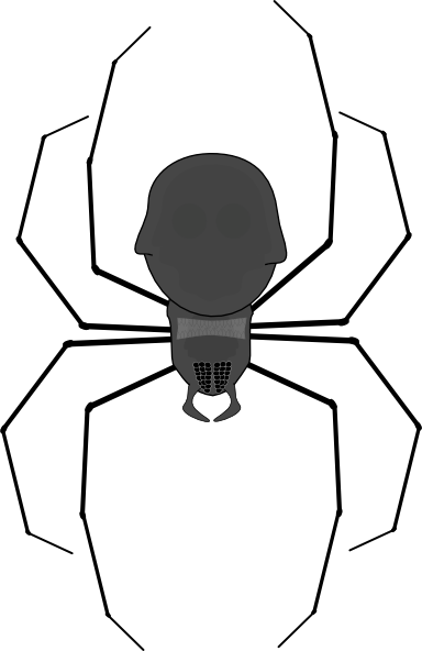 Spider Clip Art - Spider Clip Art (486x750)