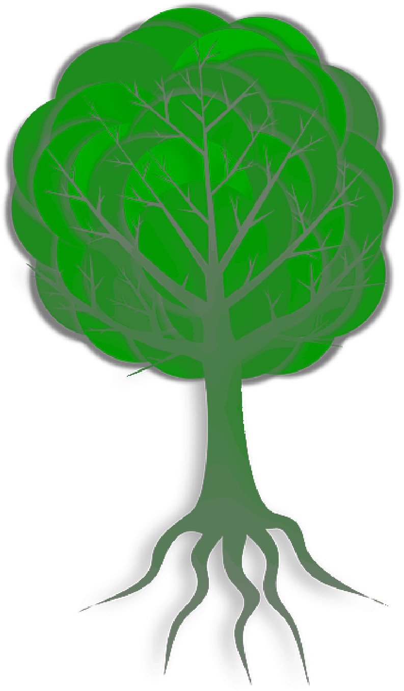 Tree, Branches, Roots, Skeleton, Plant, Leaves, Nature - Wachsen Sie Wie Ein Baum Grußkarte (800x1391)