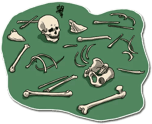 Скелет Боб - Skeleton (512x512)