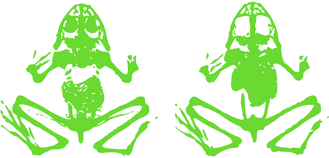 Animal, Green, Amphibian, Death, Fen, Skeleton - Sungai Hutan Vector Hd (640x320)