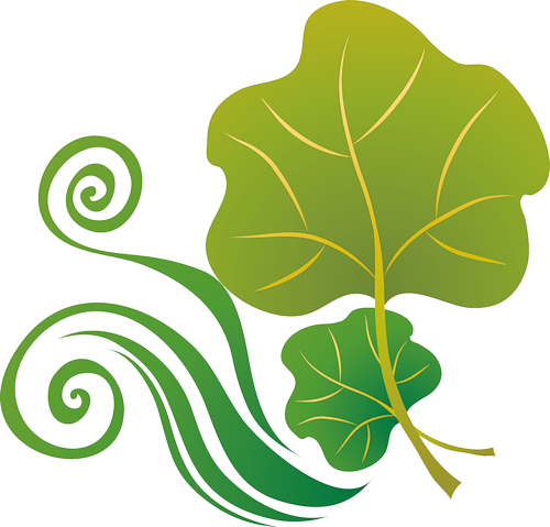 Png Vektörel Yaprak Resimleri , Векторные Изображения - Clip Art (500x479)