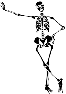 Host A Haunted House - Skeleton Clipart Png (317x400)