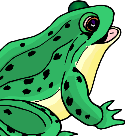 Frog Life Cycle - Clipart Picture Of Frog (433x471)