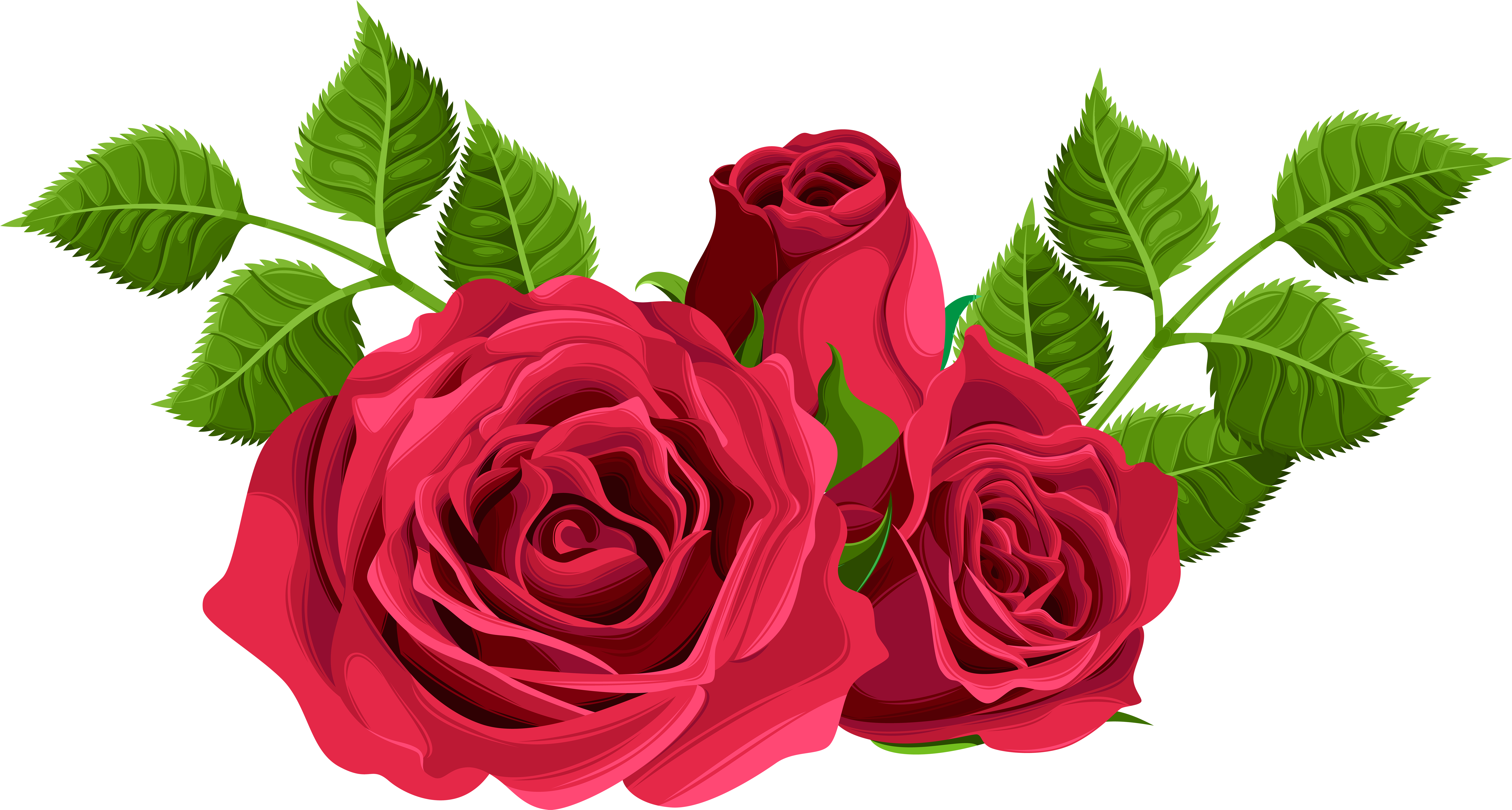 0, - Pink Roses Clip Art (8000x4325)