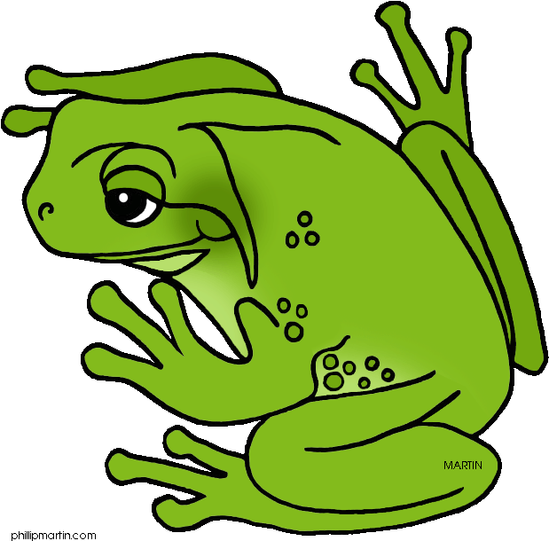 Green Frog Clipart Cool Frog - Green Tree Frog Clipart (648x638)